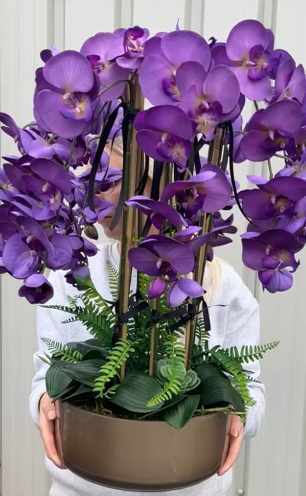 Image of Purple orchid