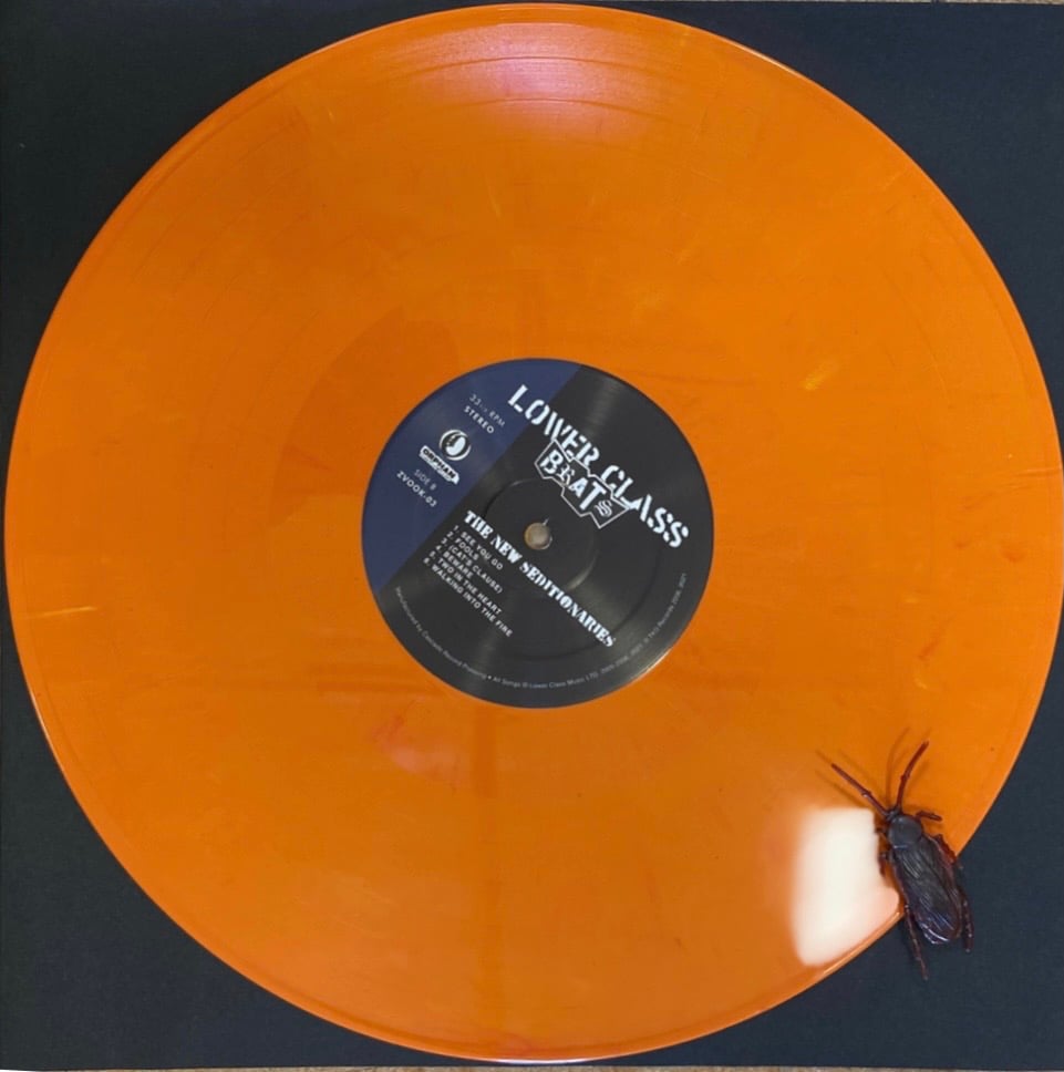 Image of THE NEW SEDITIONARIES LP 
