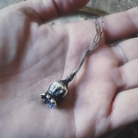 Image 4 of Poppy Tears
