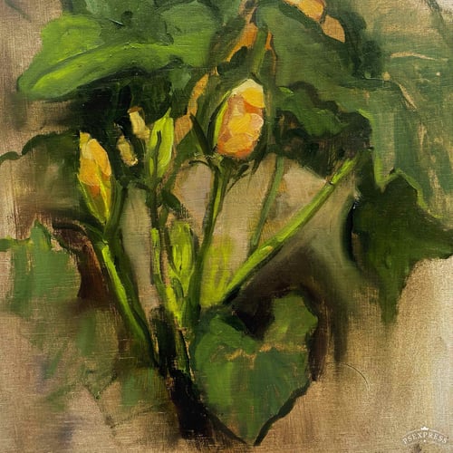 Image of Squash Blossoms 