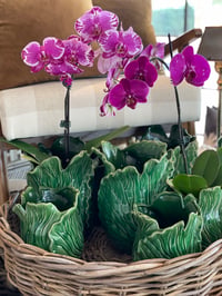 Image 1 of Sculptural Cabbage Ceramic Vases