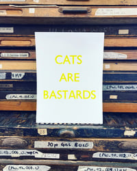 Image 1 of Cats Are Bastards