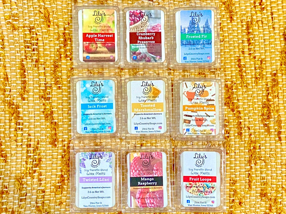 Mango Island Soy Blend Wax Melt – The Journey Within