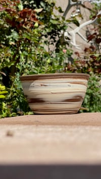 Image 1 of Mixed Planter 05