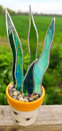 Image 3 of Stained Glass Snake Plant in Bee Pot 🐝 