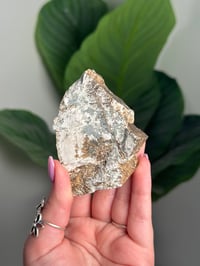 Image 1 of DENDRITIC FELDSPAR -ITALY- J