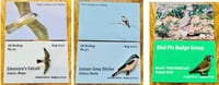 Image 1 of August 2022 Birding Pin Releases 