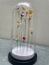 Image 1 of Jardin intérieur, fleurs sous cloche XL -1