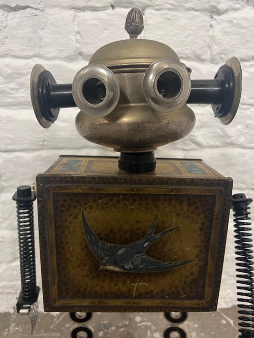 Image of Bluey Flickthebird