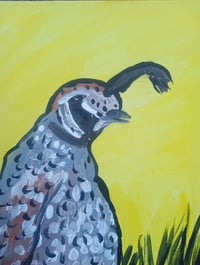 Image 6 of Quail
