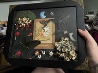 Image 3 of Memento Mori