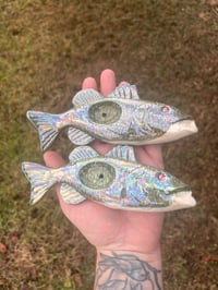Image 1 of Bass - Red Eye 