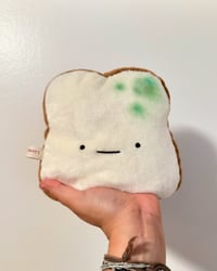 Moldy Bread Slice p