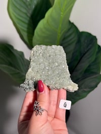 Image 7 of CHOOSE YOUR OWN BOWTIE PREHNITE -INDIA-
