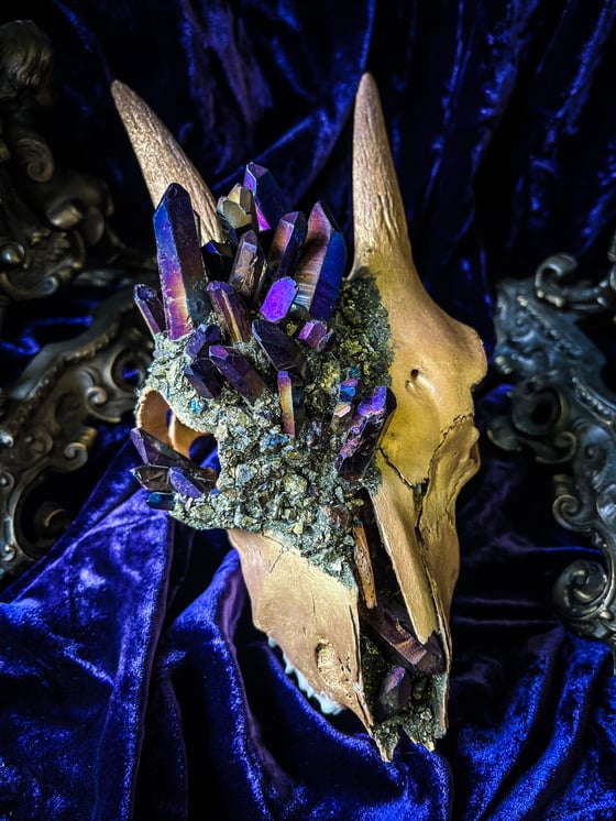 Image of Purple/ Gold Titanium Quartz - Goat Skull