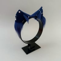Image 3 of Starlight Navy Kitten