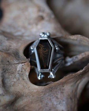 Image of NOCTURNAL RING