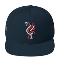Image 1 of USOL - Stars & Stripes Snapback Hat