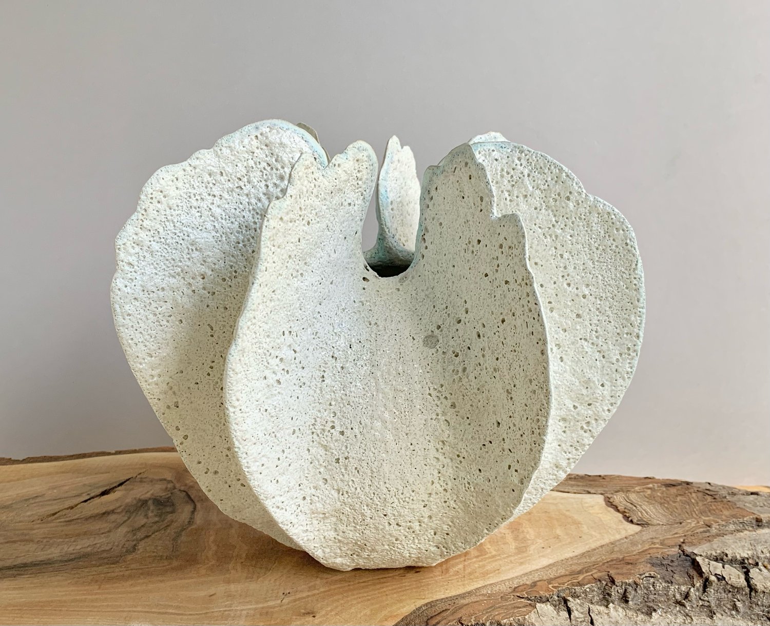 Image of Seaflower 2