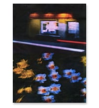 Image 1 of NIGHT DRIVE, DAFFODILS III