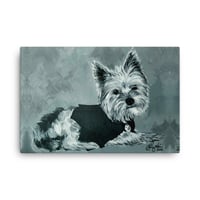 Image 1 of B&W Yorkie