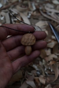 Image 3 of Cherry Wood Cep Mushroom 