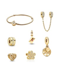 Gold Bracelet and Charm Bundle 