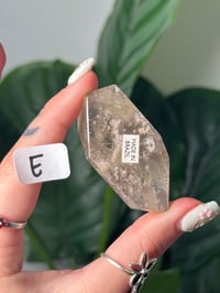 Image 7 of RUTILE X GARDEN QUARTZ FREEFORM GUSHERS -BRAZIL-