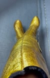 Giuseppe Zanotti Gold Knee Boot