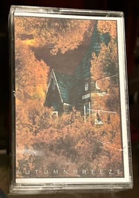 Image 1 of STABWOUND - Autumn Breeze (tape)