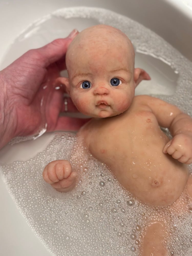 Image of Prototype Pixie Paisley