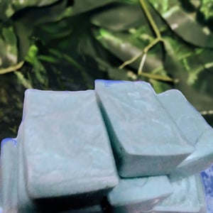 Image of Himalayan Eucalyptus