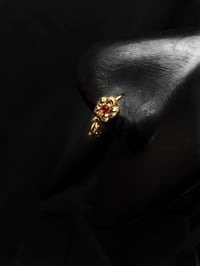 Image 4 of RED EYE FLOWER 