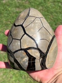 Image 10 of Septarian Nodule Polished Freeform With Calcite Inclusions| Madagascar #2899