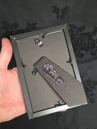 Image 4 of 1800’s biblical BATS with preserved spider web - black framed -2