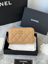 Image 13 of CC Short Zipper