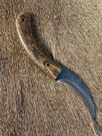 Image 1 of BOCOTE REDEEMER