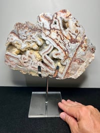 Image 11 of Mexican Lace Agate Statement Piece #2875