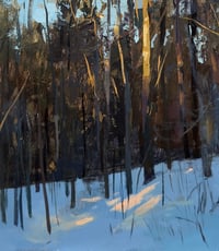 The Hill Before the Creek 