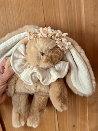 Image 3 of LAPIN TOUT DOUX ET SA COURONNE 