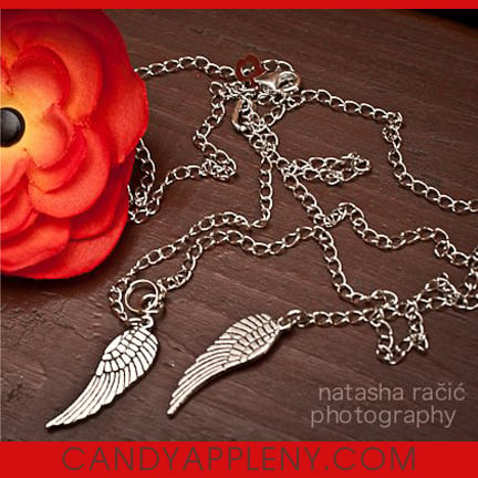 Image of Dream Catcher Wing Necklace