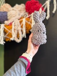 Image 2 of Grey mini bunny