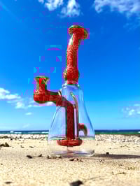 Image 2 of Algae Colab Surf Board In a Bottle Brain Rig 