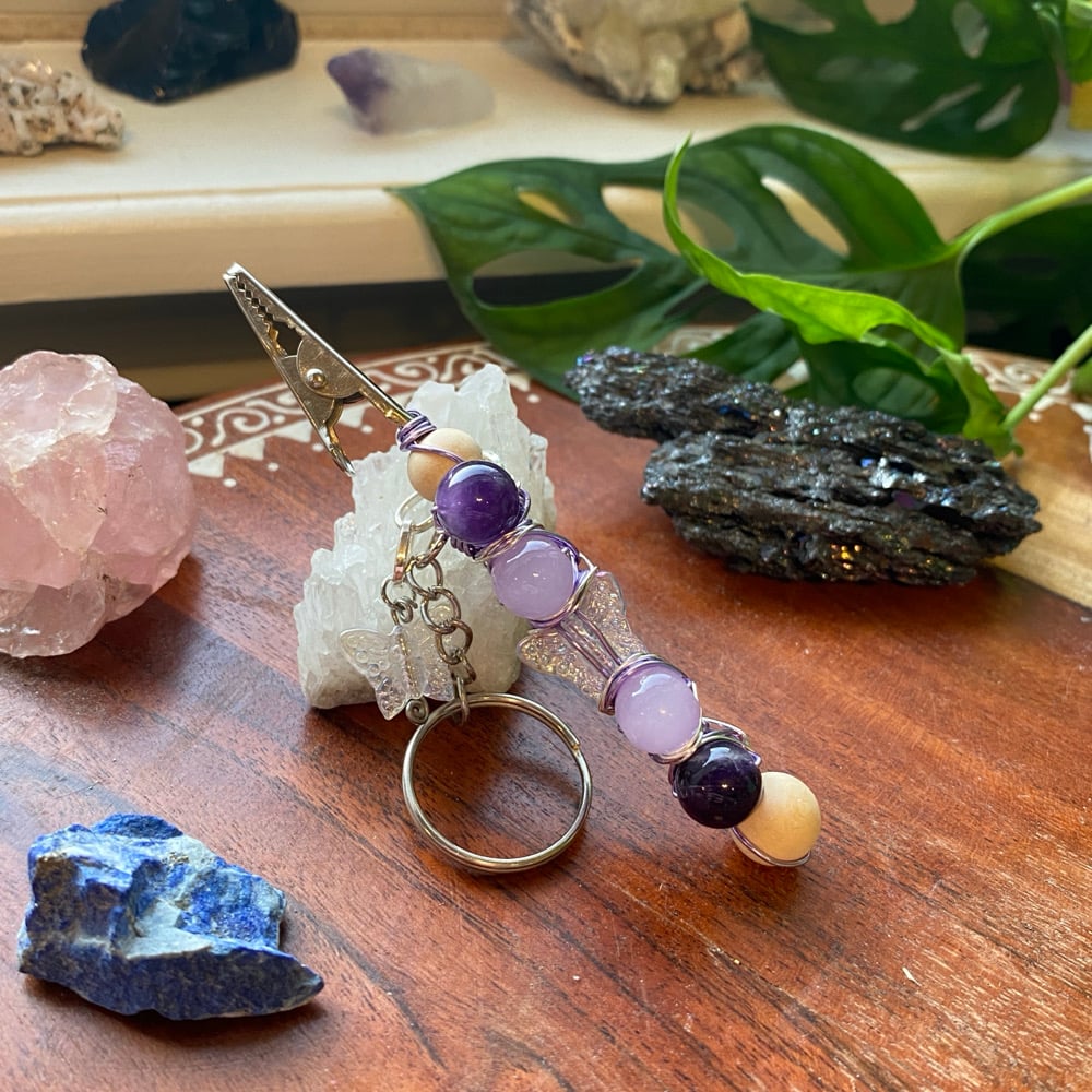 Image of iris wing clip keychain 