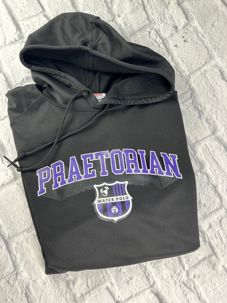 Image of Performance Hoodie 