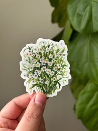 Image 1 of Daisy Sticker