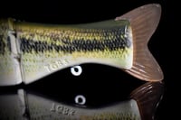 Image 3 of Full Size Shat - “Baby Bass”