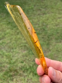 Image 14 of Copal Amber With Preserved Insects #2357