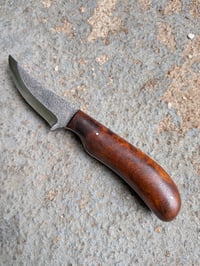 Image 2 of IRONWOOD PERSIAN