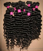 Image of Eurasian curly